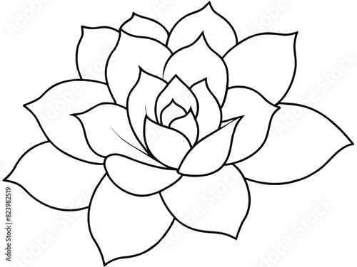 Stylized Succulent Plant Outline Illustration - Black and White Vector Drawing