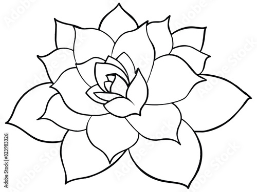 Minimalist Succulent Plant Line Art Illustration. Hand-Drawn Botanical Echeveria Rosette Outline.