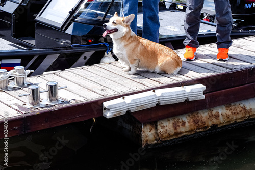 sea or river vessel, motor ship, boat, yacht 