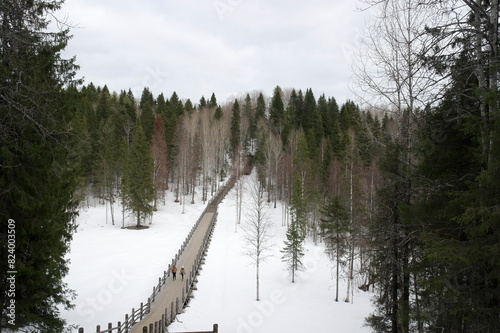 wooden stairs and wooden bridges in a park among trees in winter