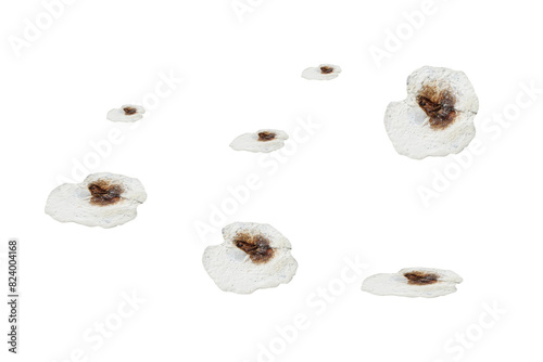 Bird droppings - on isolated transparent background. photo