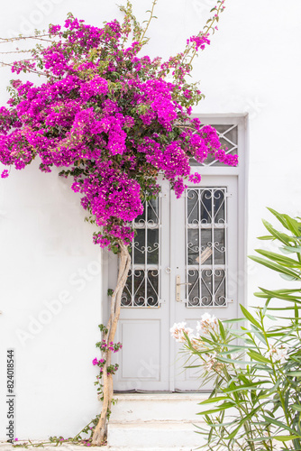 window with pink flowers