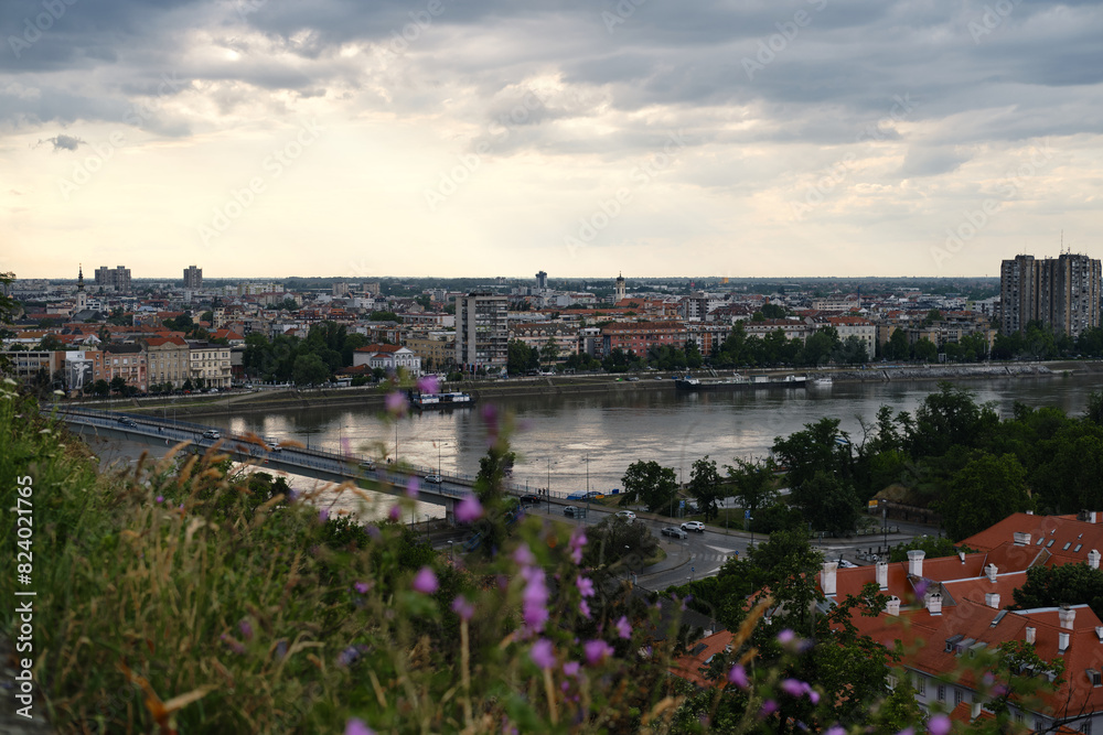 Fototapeta premium Serbia - Beautiful Panoramic view of Novi Sad and Danube River. A bridge across the river for cars and pedestrians. View from Petrovaradin fortress. Spring wildflowers in the foreground.