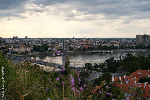 Serbia - Beautiful Panoramic view of Novi Sad and Danube River. A bridge across the river for cars and pedestrians. View from Petrovaradin fortress. Spring wildflowers in the foreground.