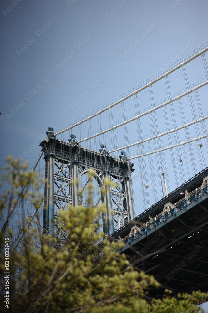 New York Scenes New York Scenes