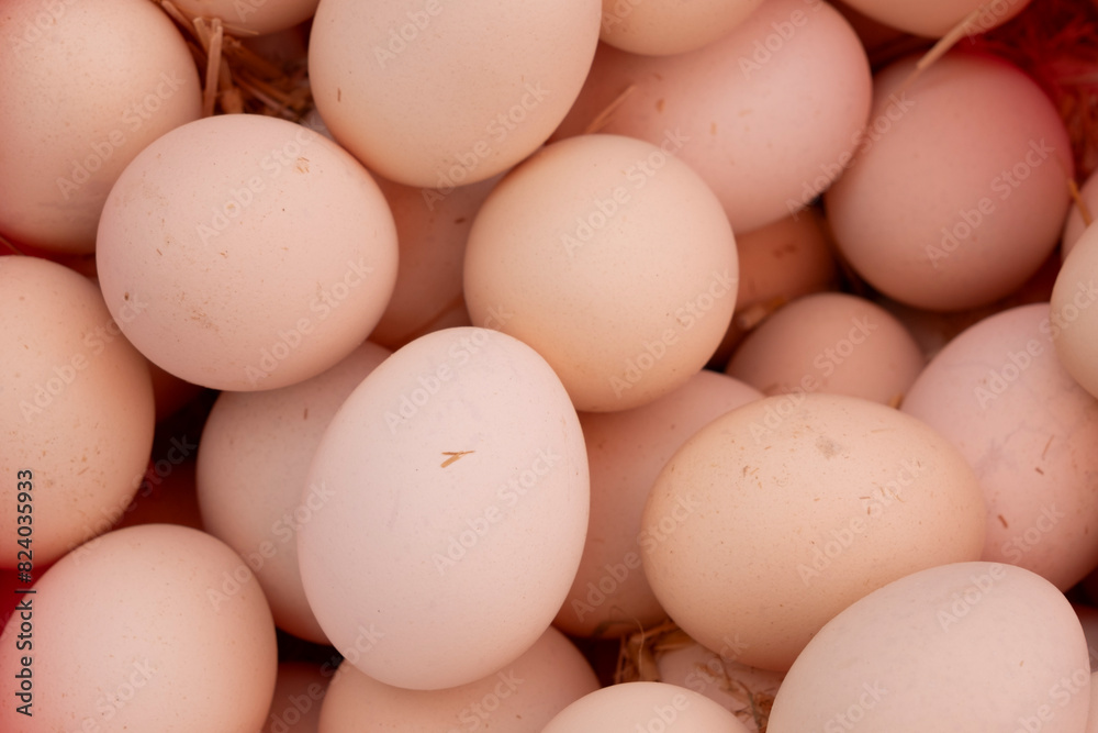 Organic village chicken eggs at the market Organic village chicken eggs at the market