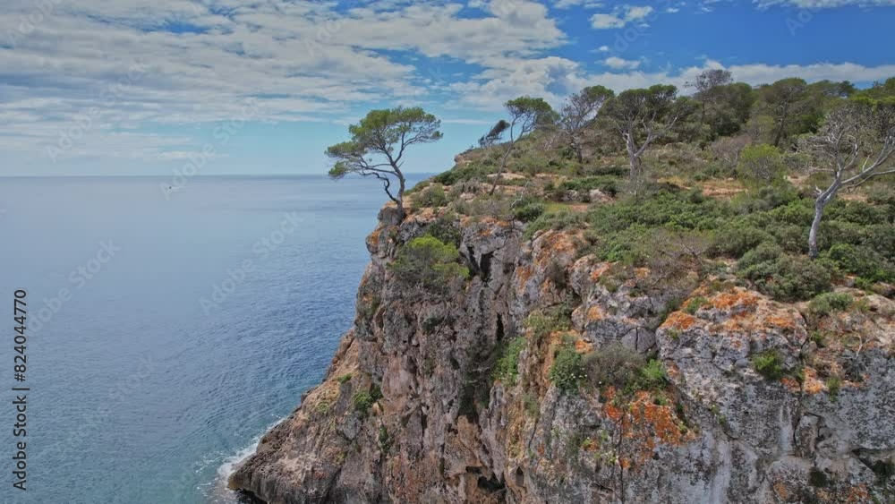 Lone Tree on Cliff Overlooking Ocean, Mallorca Lone Tree on Cliff Overlooking Ocean, Mallorca