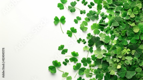 Shamrock leaves are displayed on a white background in this video. The camera captures the vibrant green leaves of the shamrock plant