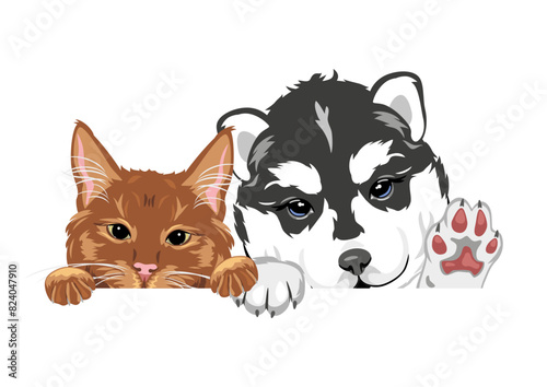 Peeking funny ginger cat and husky dog
