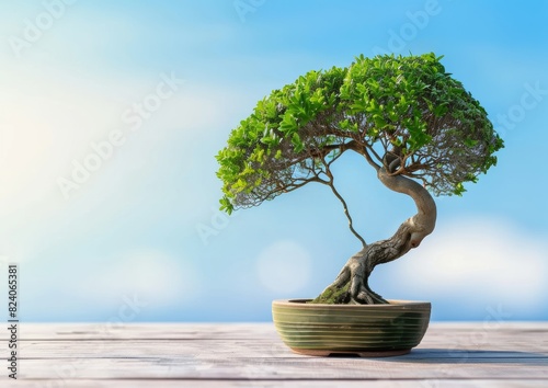 A green bonsai tree shaped like the human brain on a wooden table with a blue sky background photo