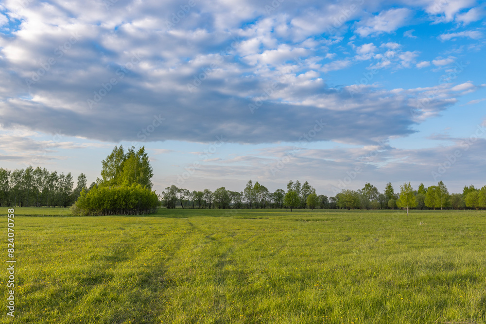Evening landscape. Blue sky with clouds above the horizon. early spring in the countryside, soft sunlight on the grass.