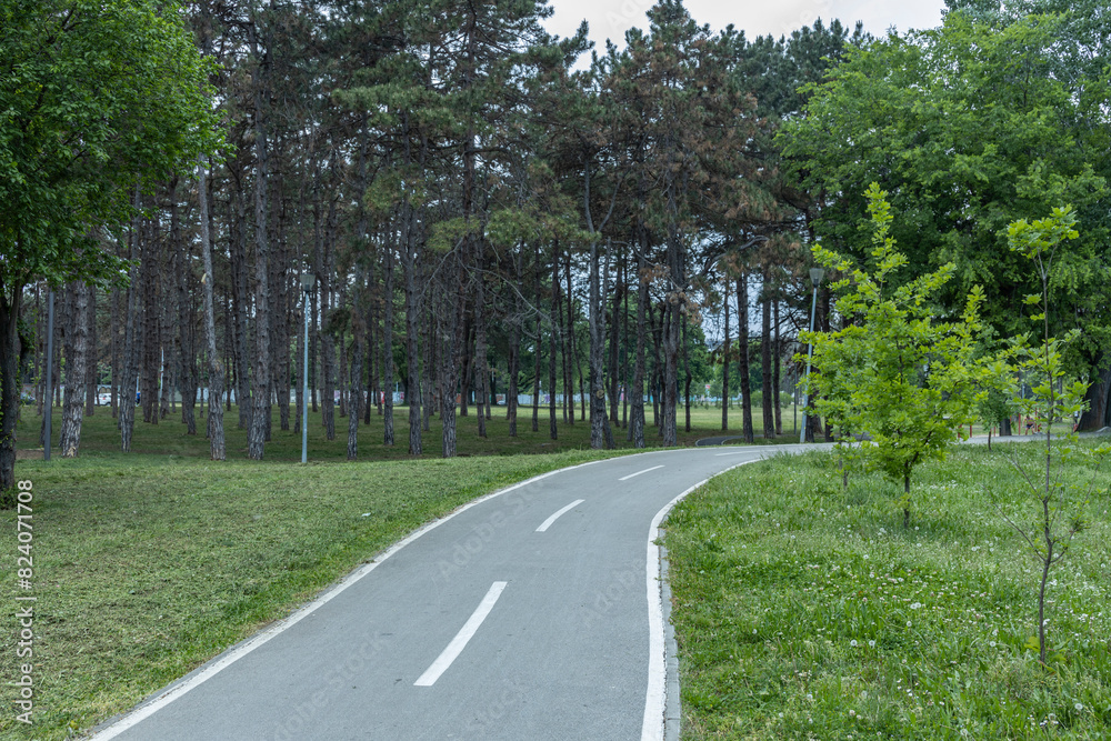  A serene urban park featuring a well-maintained bicycle lane surrounded by lush greenery and a variety of trees, offering a tranquil space for leisure activities.