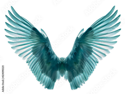 angel wings on transparent background 