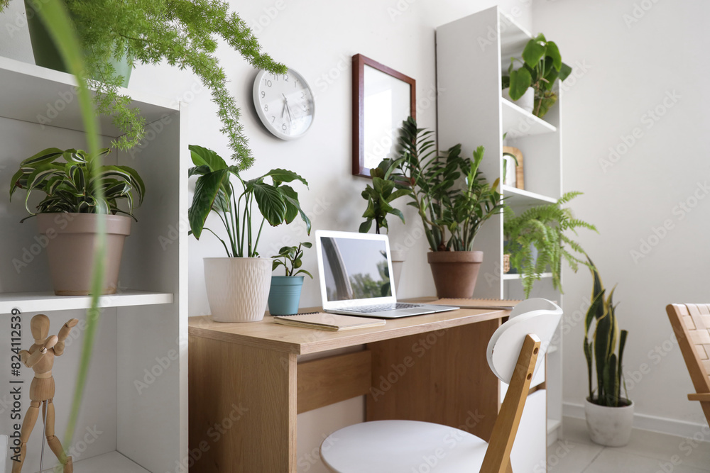 Fototapeta premium Interior of light office with workplace, shelf units and houseplants