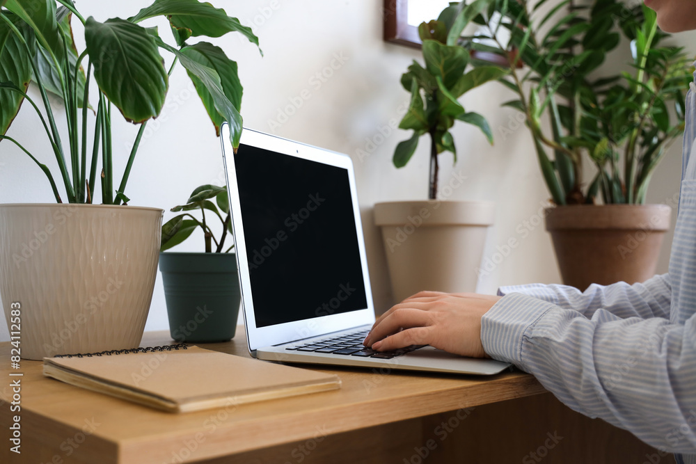 Young woman working with laptop at table in office, closeup Young woman working with laptop at table in office, closeup