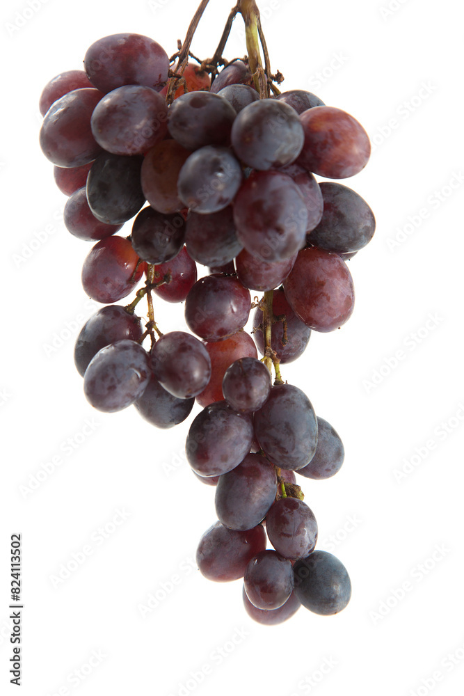 Bunch of organic black grapes isolated on white background. Bunch of organic black grapes isolated on white background.