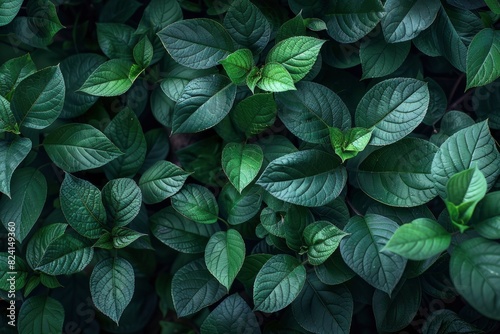 deep fresh green leaves texture background - generative ai © Nia™