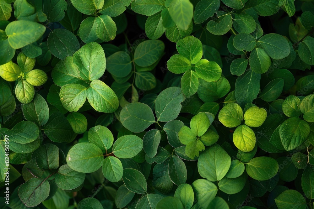 deep fresh green leaves texture background - generative ai deep fresh green leaves texture background - generative ai
