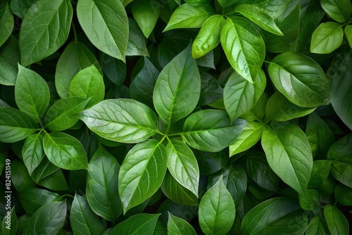 deep fresh green leaves texture background - generative ai