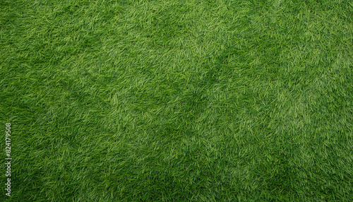 Seamless green grass texture
