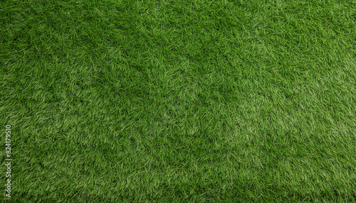 Seamless green grass texture