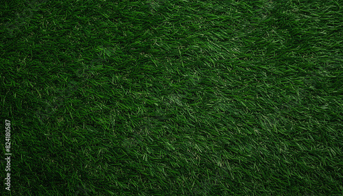Seamless dark green grass texture
