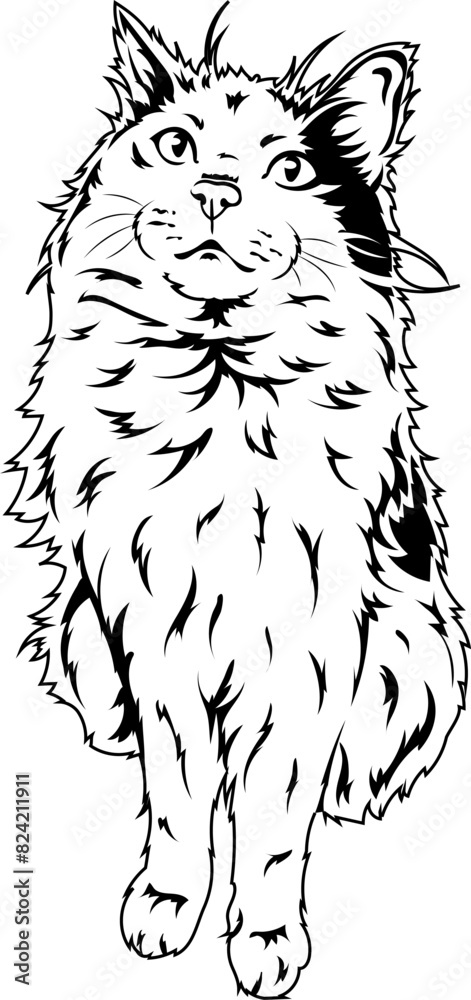 Obraz premium Kids coloring book with pets, coloring page with funny cat