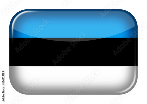 Estonia web icon rectangle button