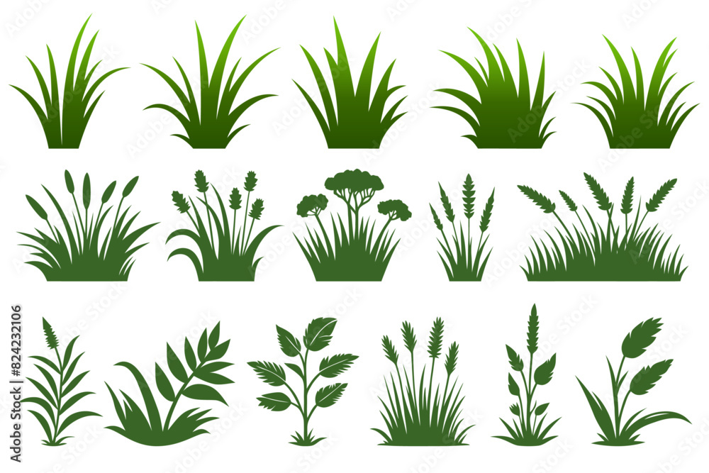 Fototapeta premium Set of vector green grass.