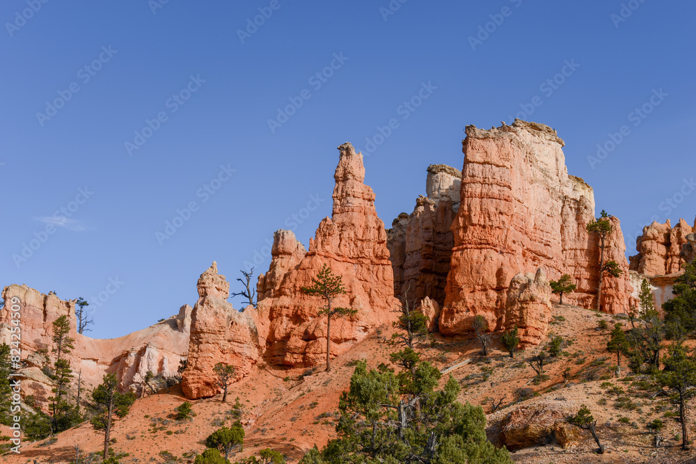 Hoodoos at Bryce Canyon National Park. Utah. USA. Hoodoos at Bryce Canyon National Park. Utah. USA.