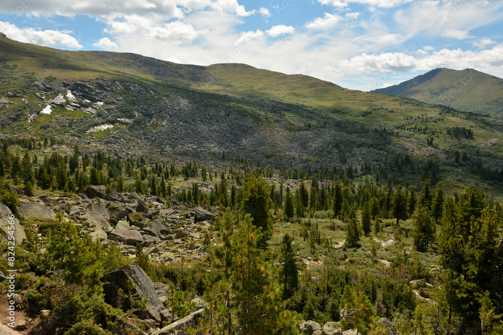 Overgrown with low pines and cedars, the slopes of high mountain ranges under a cloudy summer sky. Overgrown with low pines and cedars, the slopes of high mountain ranges under a cloudy summer sky.