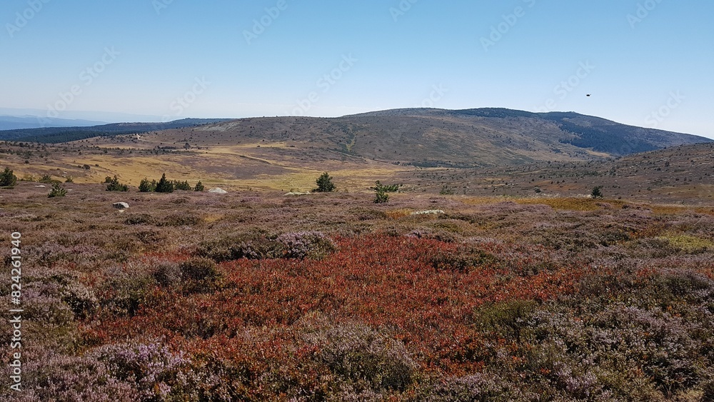 Panorama sur les sources du Tarn, sur le mont Lozère Panorama sur les sources du Tarn, sur le mont Lozère