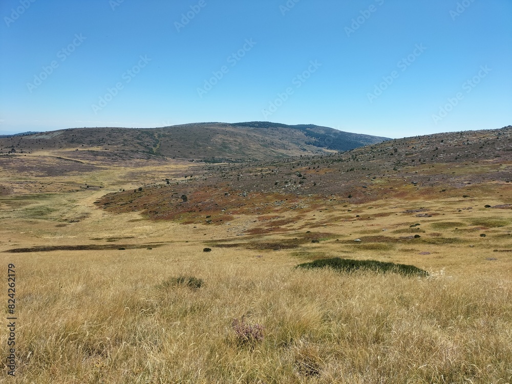 Panorama sur les sources du Tarn, sur le mont Lozère Panorama sur les sources du Tarn, sur le mont Lozère