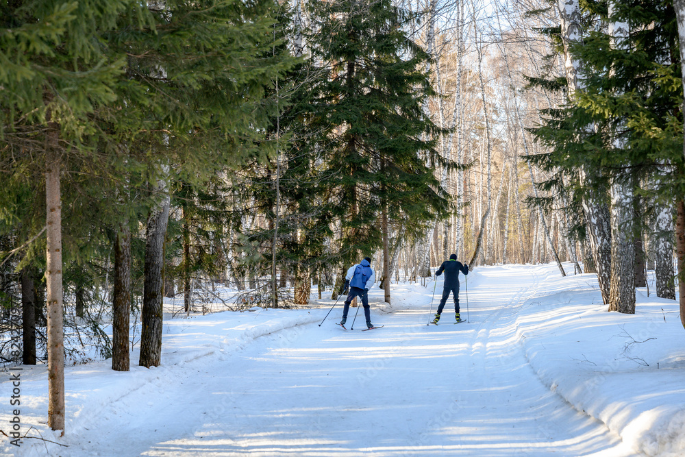 Two skiers are running on a ski track in a winter forest with snowdrifts under the bright sun