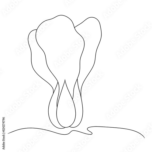Continuous line drawing of bok choy. Vector illustration.