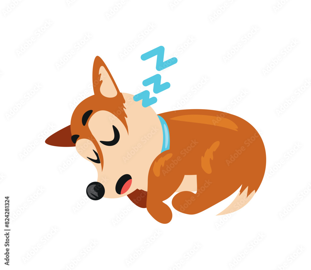 Fototapeta premium cute puppy sleeping
