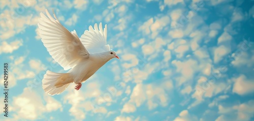 Wallpaper Mural Dove bird for world peace day, White dove flying, Blue sky backdrop, Peace and harmony, Symbol of unity Torontodigital.ca