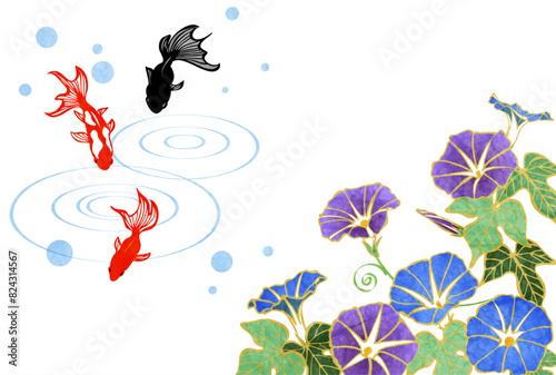 暑中見舞い、はがき、金魚、朝顔、波紋、イラスト、横