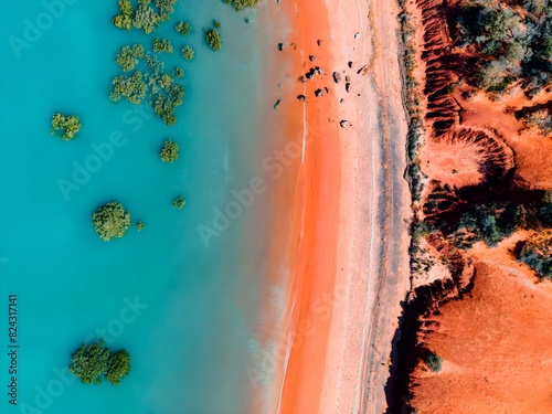 An aerial perspective of a sandy beach meeting the clear blue waters, creating a beautiful contrast of colors and textures. photo