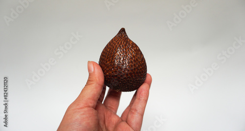 Human hand holding a snake fruit or Salak, isolated on white background