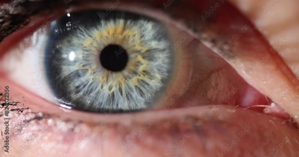 Blue orange human female eye closeup