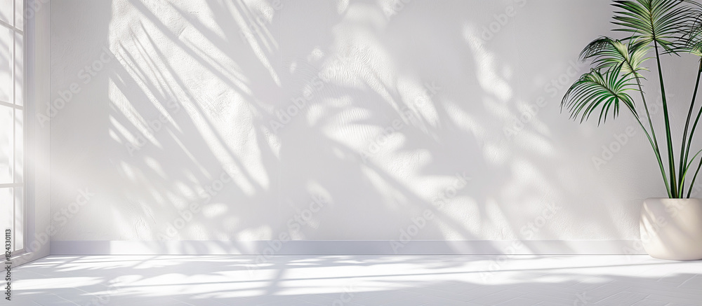 empty white room with foliage shadow background empty white room with foliage shadow background