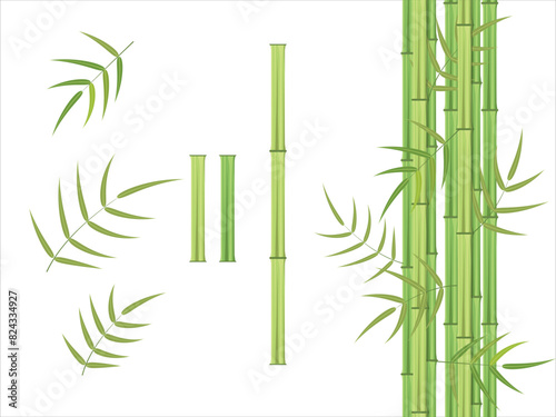 Green bamboo and leaves vector element set