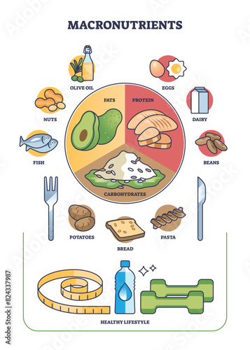 Macronutrients as fats, protein and carbohydrates complex outline diagram. Labeled educational scheme with healthy meal division for dieting and weight loss vector illustration. Lifestyle awareness.