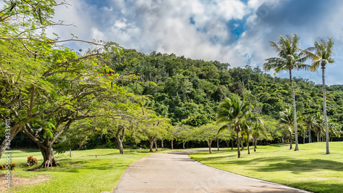 An asphalt road bends in the park. Tall coconut palms and acacia Caesalpinia pulcherrima grow on the roadsides on green lawns. A hill against a blue sky and clouds. Malaysia. Borneo. Kota Kinabalu. photo