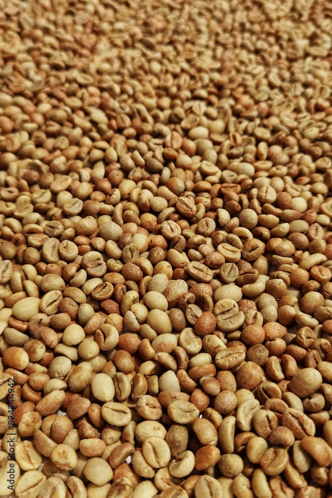 Close up of coffee beans drying in the sun Close up of coffee beans drying in the sun