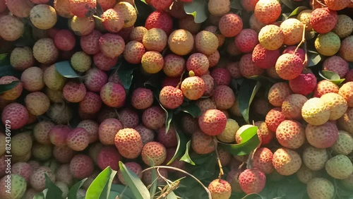 Bulk fresh litchi is raised in the market for sale photo