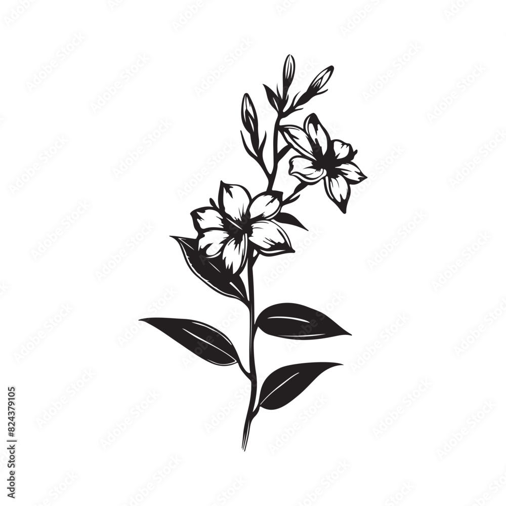 Branch Sampaguita Flower Hand drawn image vector isolated on white Branch Sampaguita Flower Hand drawn image vector isolated on white