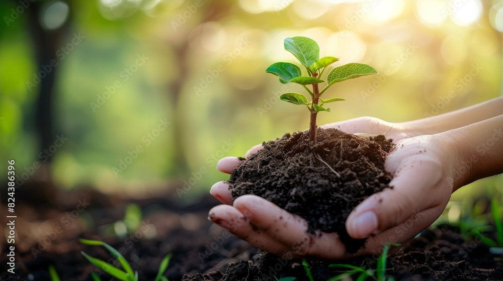 Embracing Corporate Social Responsibility: Sustaining Environmental Impact through Ethical Business Practices Embracing Corporate Social Responsibility: Sustaining Environmental Impact through Ethical Business Practices