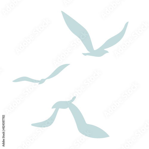 羽ばたく鳥